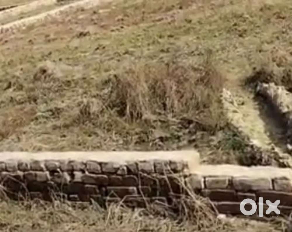 I want to sale the plot