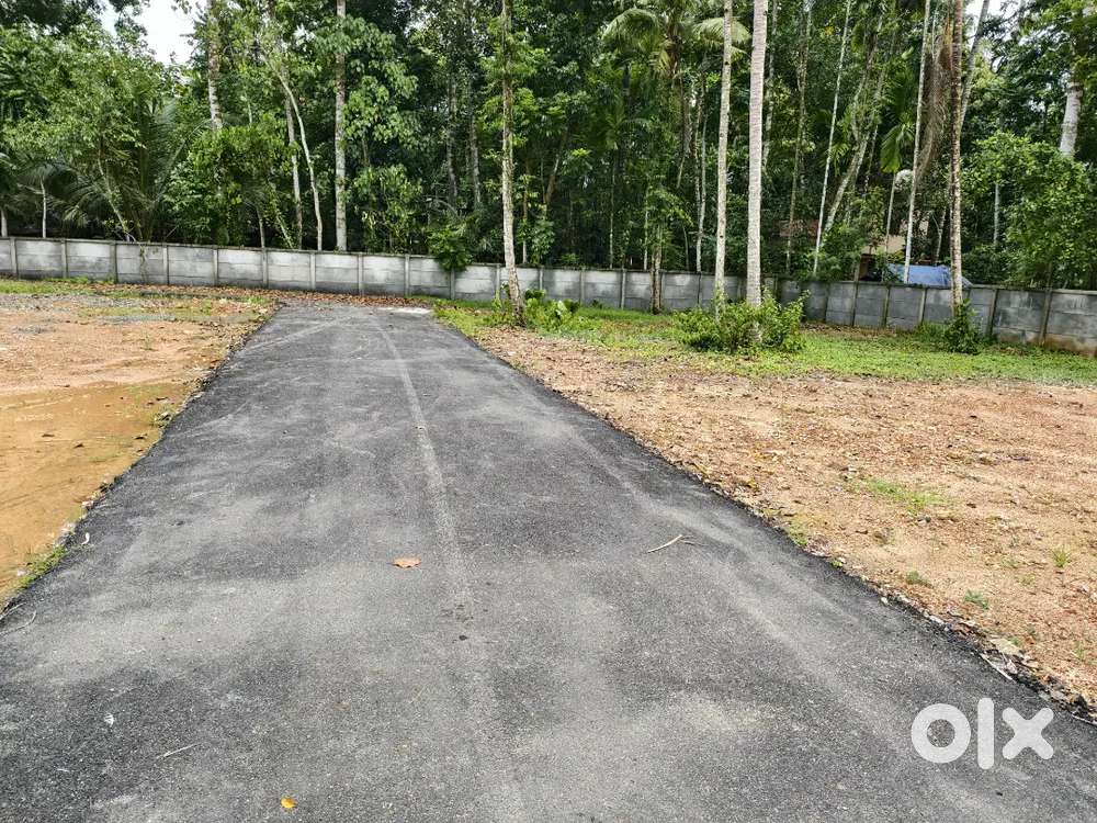 കായംകുളം കുറ്റിത്തെരുവ് kp റോഡിൽ നിന്നും 200മീറ്റർ ദൂരം