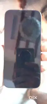 16 pro max 256 Indian version