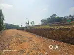 പാലാ - പൊൻകുന്നം റോഡിൽ , ഹൗസ് പ്ലോട്ടുകൾ വിൽപ്പനയ്ക്ക്