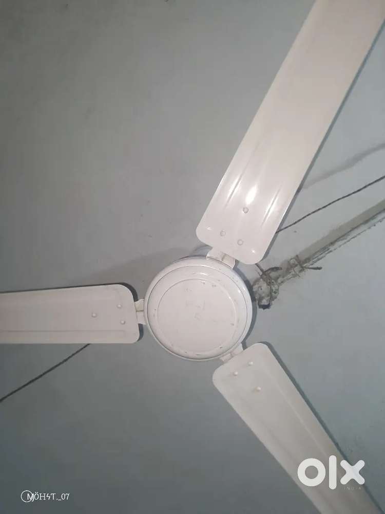 Bajaj Ceiling fan