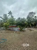 50 cents of investment land for sale in vaikom