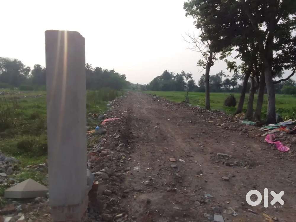 Open Plan Living with Private Courtyard