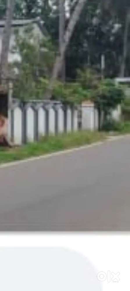22cent land for sale pettah Akshraveedi road