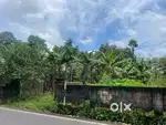 അങ്കമാലി ടൗണിന് സമീപം  ROAD  FRONTAGE ആയി ഭൂമി സ്വന്തമാക്കാം