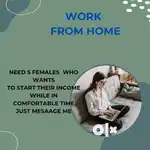 Work From Home  Provider