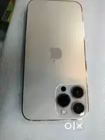 13 Pro Max