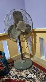 New Havells windstorm stand fan
