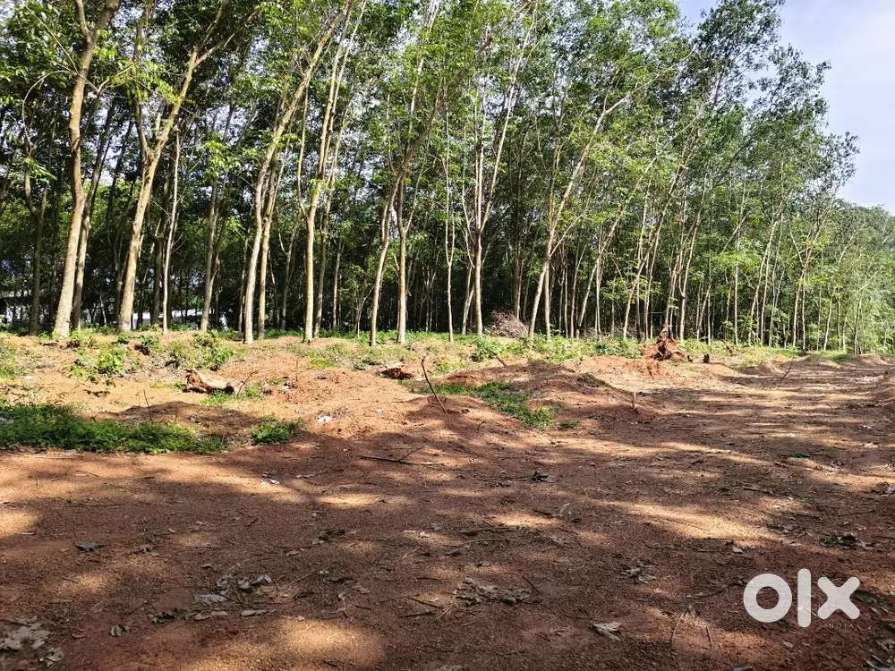 20 cent - Plot for sale, lorry site. Suitable for plotting.