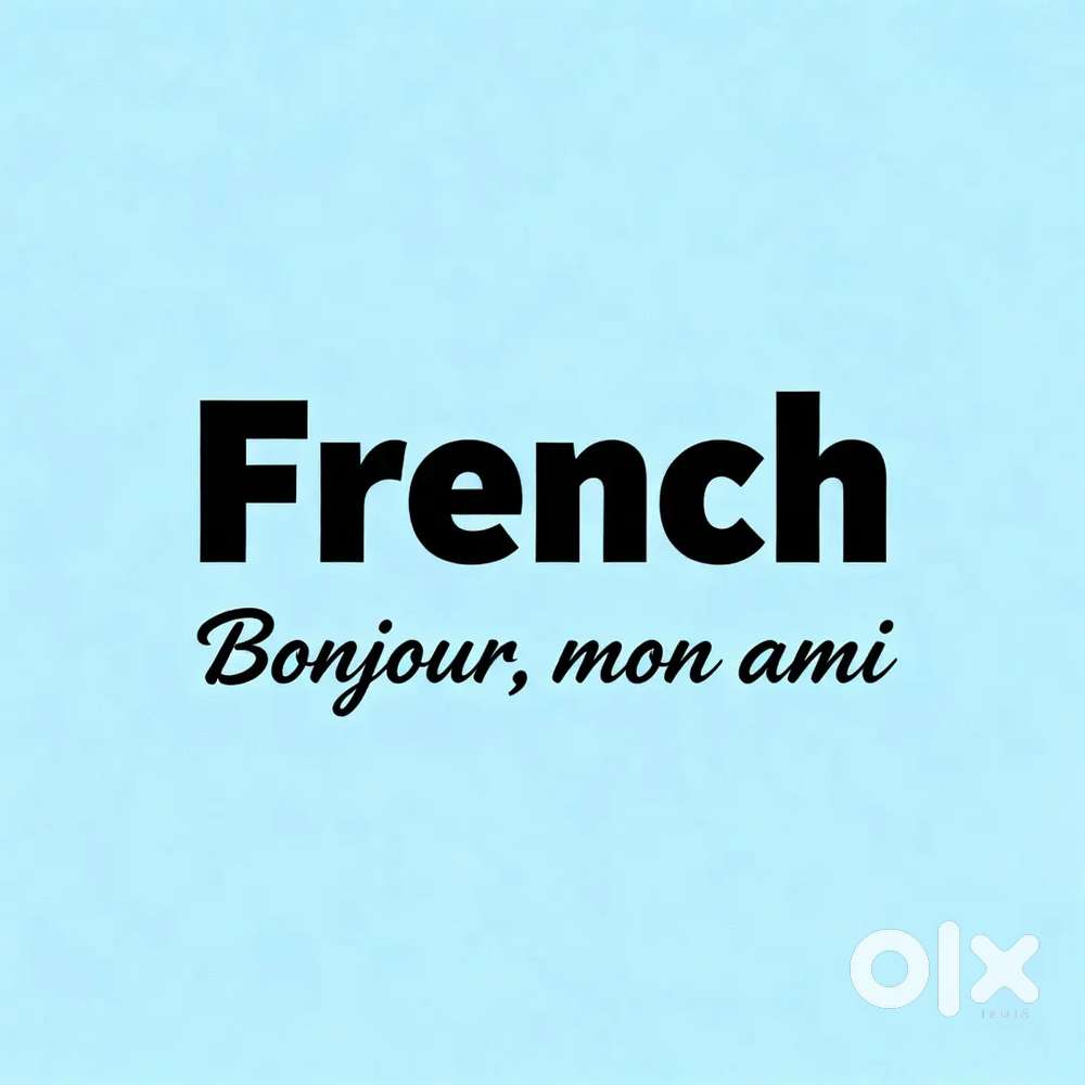 Learn French Online  Beginner to Advanced  Expert Trainer