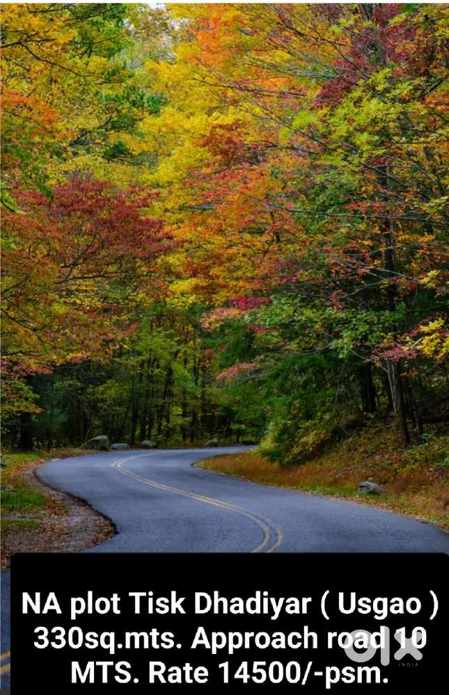 NA plot Tisk Dhadiyar