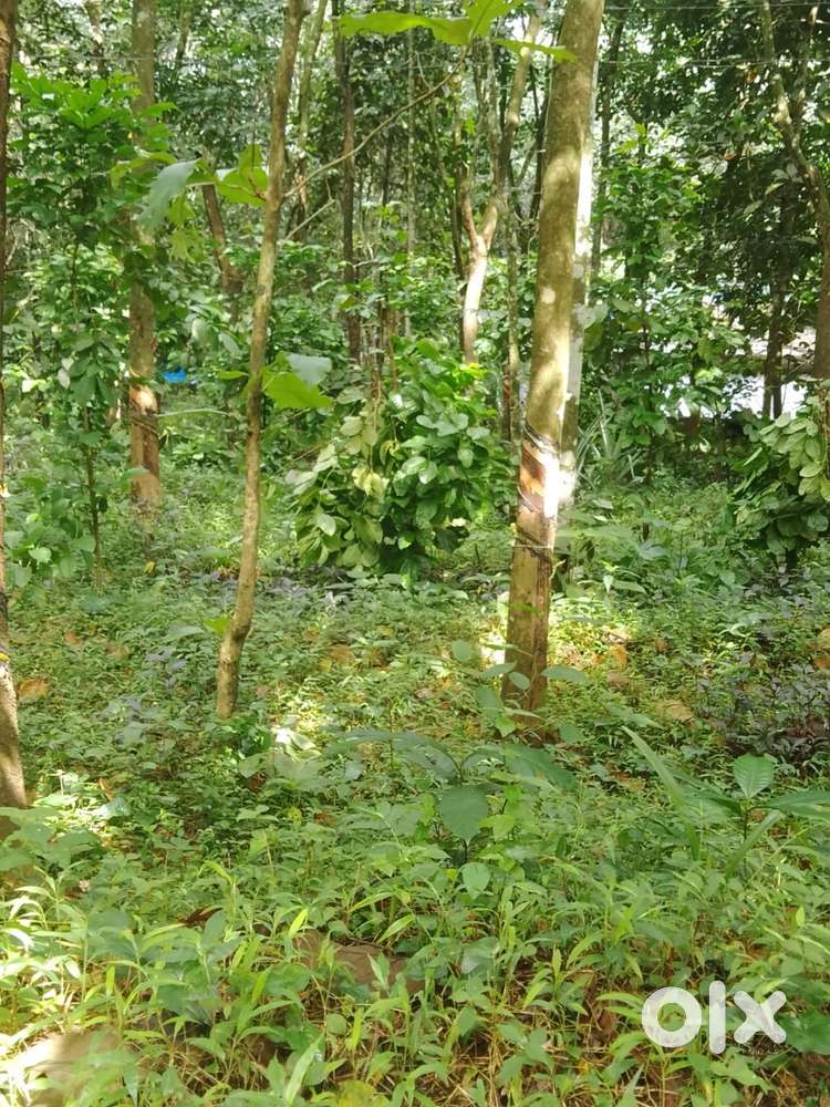 41 cent plot for sale asking prize 70000 per cent