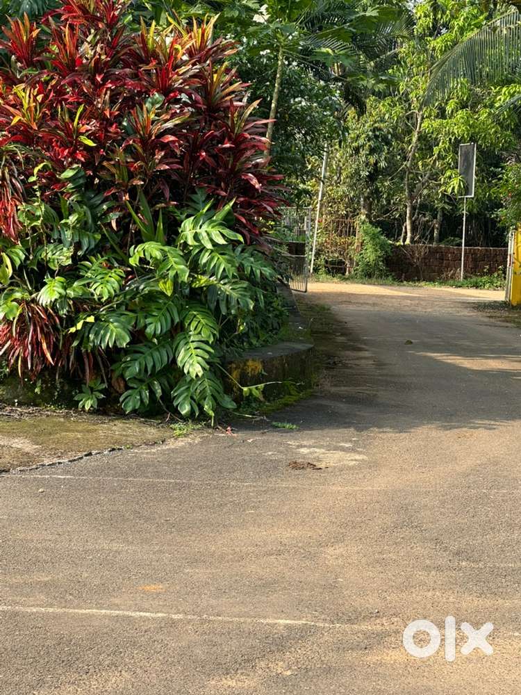 Plot For sale area 1000 - 5000 sqmtrs Good For Investment