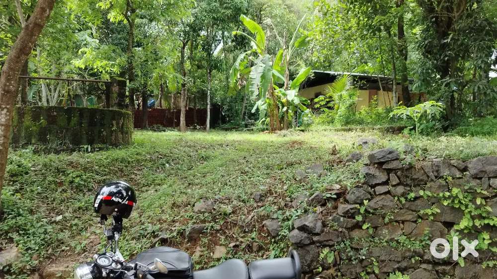 10 cent plot with  kinar near irimbiliyam village office road