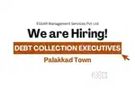 Debt Collection Executives–Palakkad Town