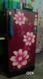 ২ year ফ্ৰিজ