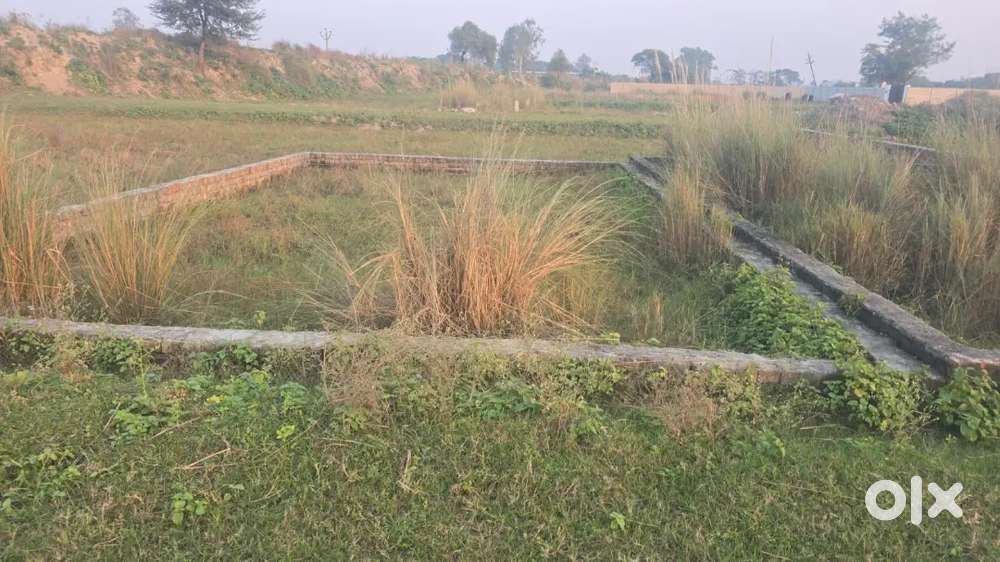 Ram swaroop university ke pas