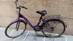 Avon ladybug cycle