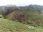 Vagamon Uluppunni 6 AC Mottakkunnu LA Pattayam Land for sale.