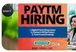 Great income plan for freshers and students from home