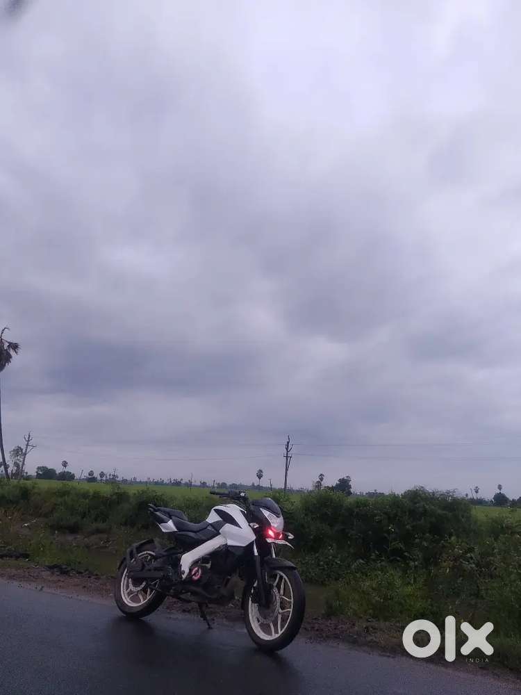 White colour money arjant