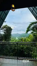Required  an all rounder cook for a homestay  in munnar