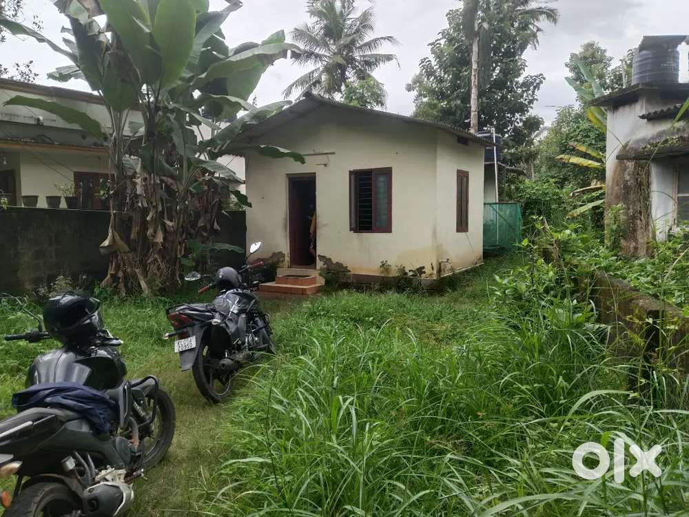 4 CENT  PLOT  ചെറിയ ഒരു വീട് kudamaloor