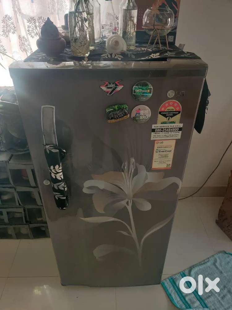 LG freeze +king size Bed