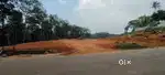 NEAR MARNGATTUPALLY 35 CENT BUS ROAD SIDE LEVEL PLOT