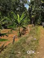 22 cent land