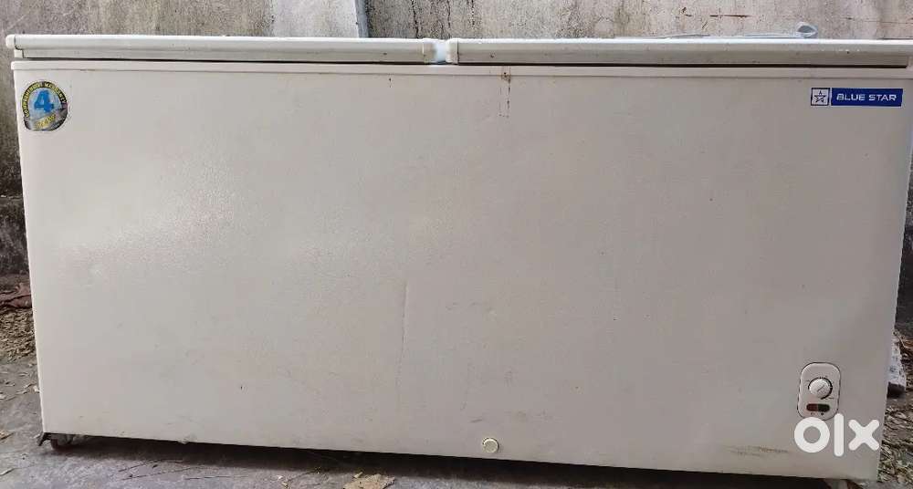 Blue star deep freezer 500