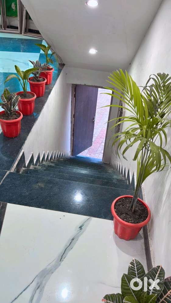 Indipandent room and 1 bhk room boys and gril pg Zirakpur