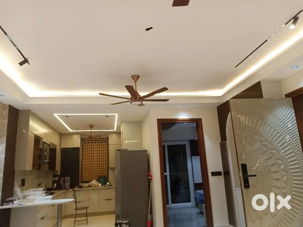 Professional electrician