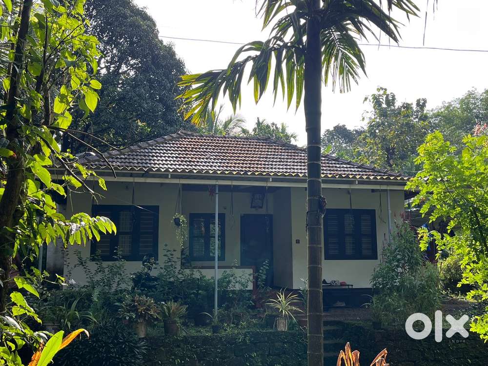 32 സെൻറ് സ്ഥലവും വീടും വില്പനയ്ക്ക്.