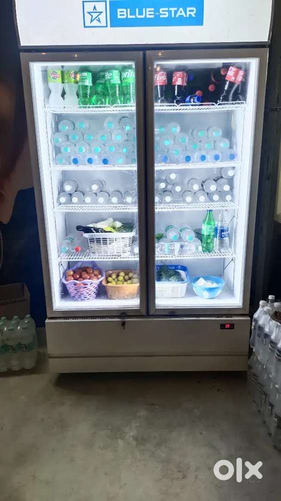 Blue Star Double Door Fridge and Deep freezer