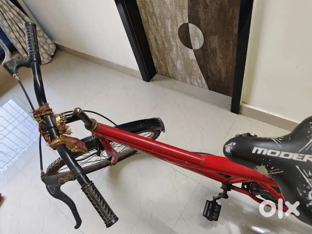 Booster Bicycle