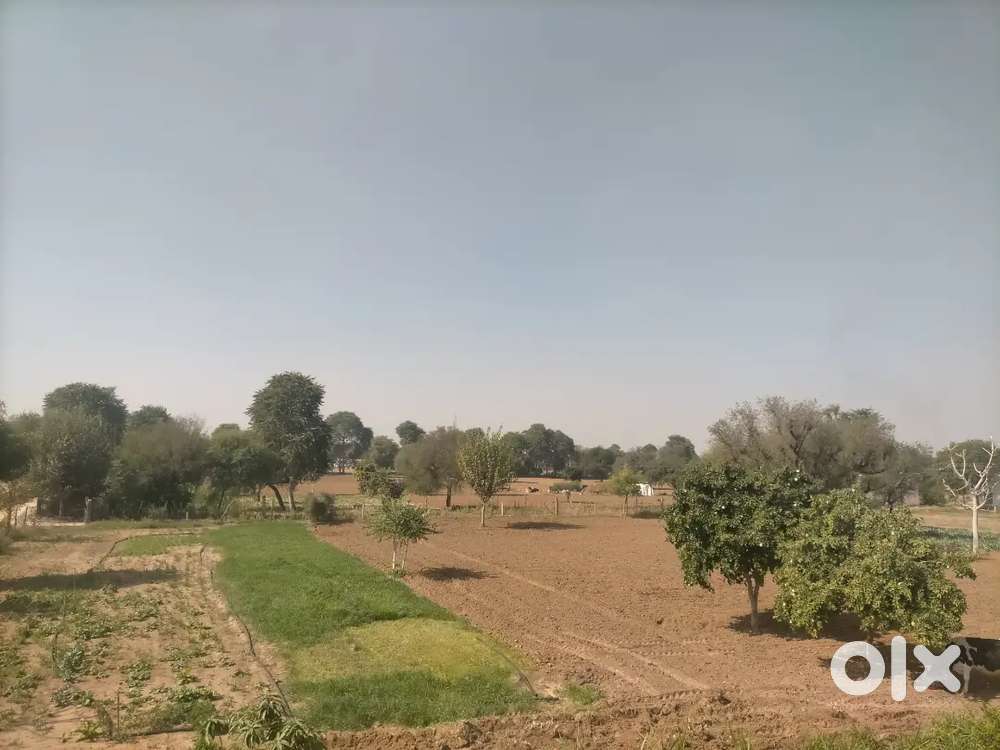 1300 varg gaj jamin Kanwarpura to dhod road pe