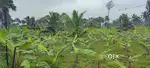 Beach View Plots For Sale