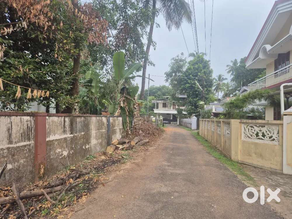 4.750 cent plot for sale thrissur