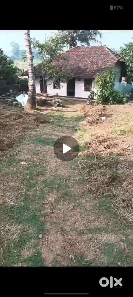 10 Cent Residential Land for Sale in Vazhakkulam – ₹5 Lakhs