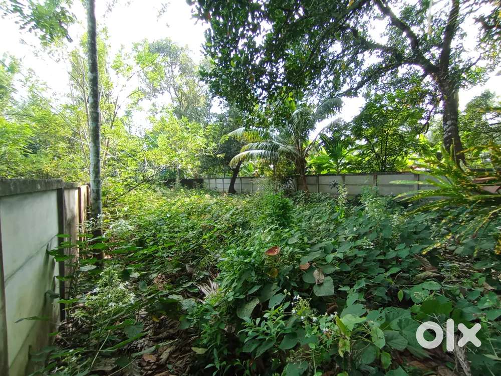 7 cent Plot for sale Kochal highway 200 meter only