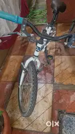 Junior cycle