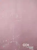 Waiter job