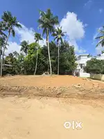 6CENT HOUSE PLOT NEAR MANNANTHALA