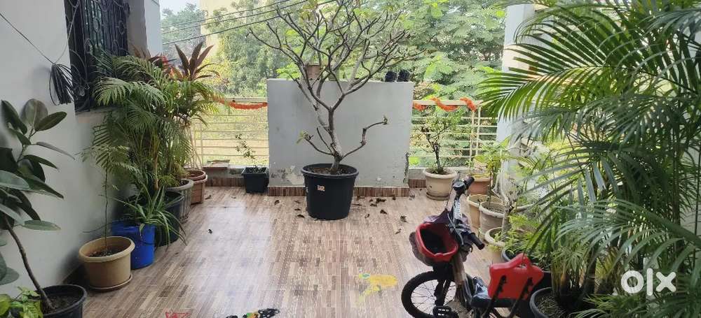 2bhk house for rent first floor Shankar Nagar Bhavnagar