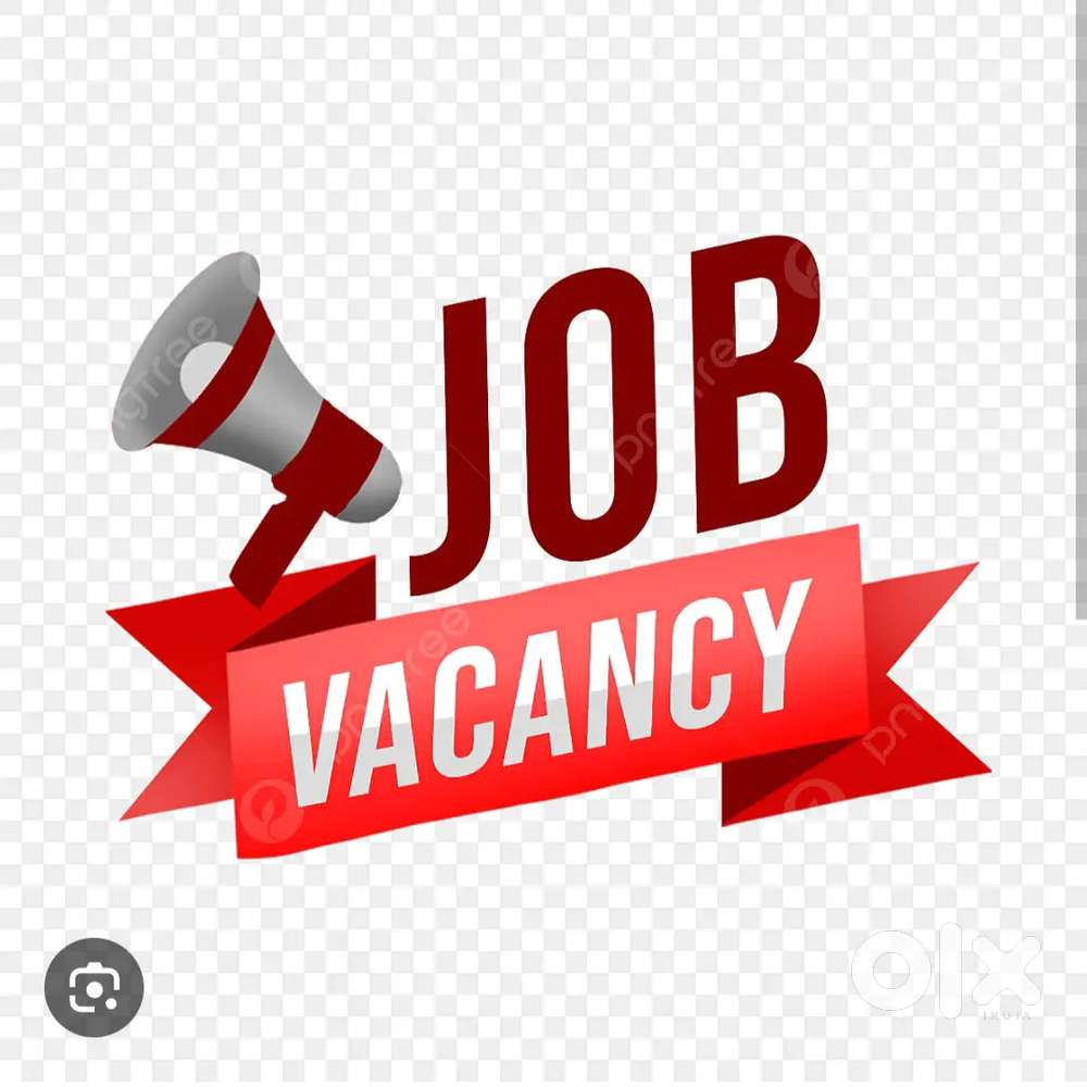 Fresher girls/female require for office assistant