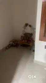 Urgent Need Female Roommate for the sharing Room
