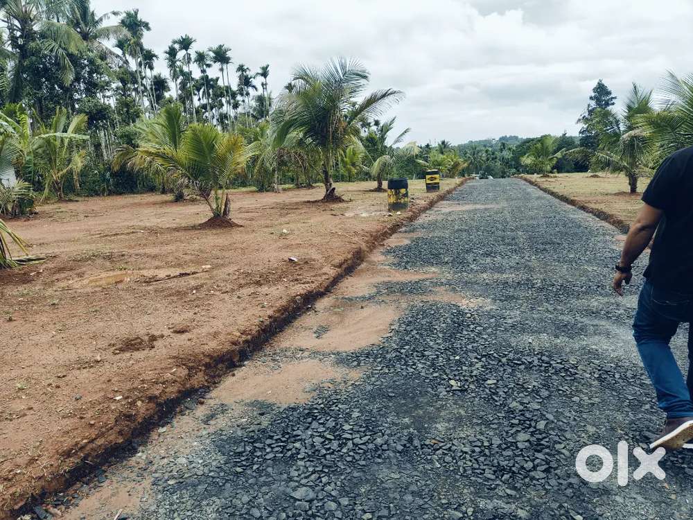 Sulthan bathery 3 km house plot sale