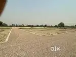 Noida extension me plot only 18000₹/gaj