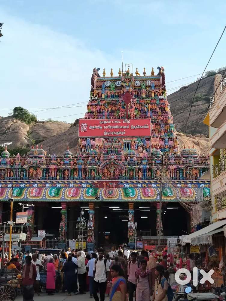 Home cook  pure vegetarian food